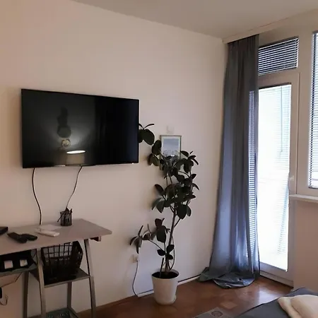 Saluki 032 Appartamento *