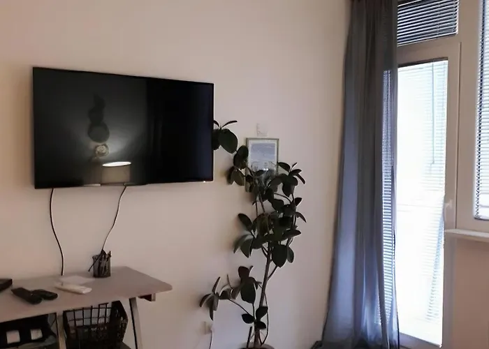 Saluki 032 Appartement *