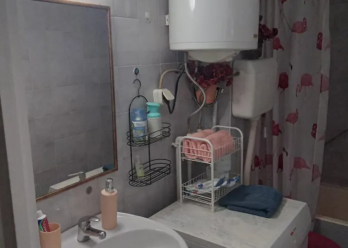 Saluki 032 Appartement